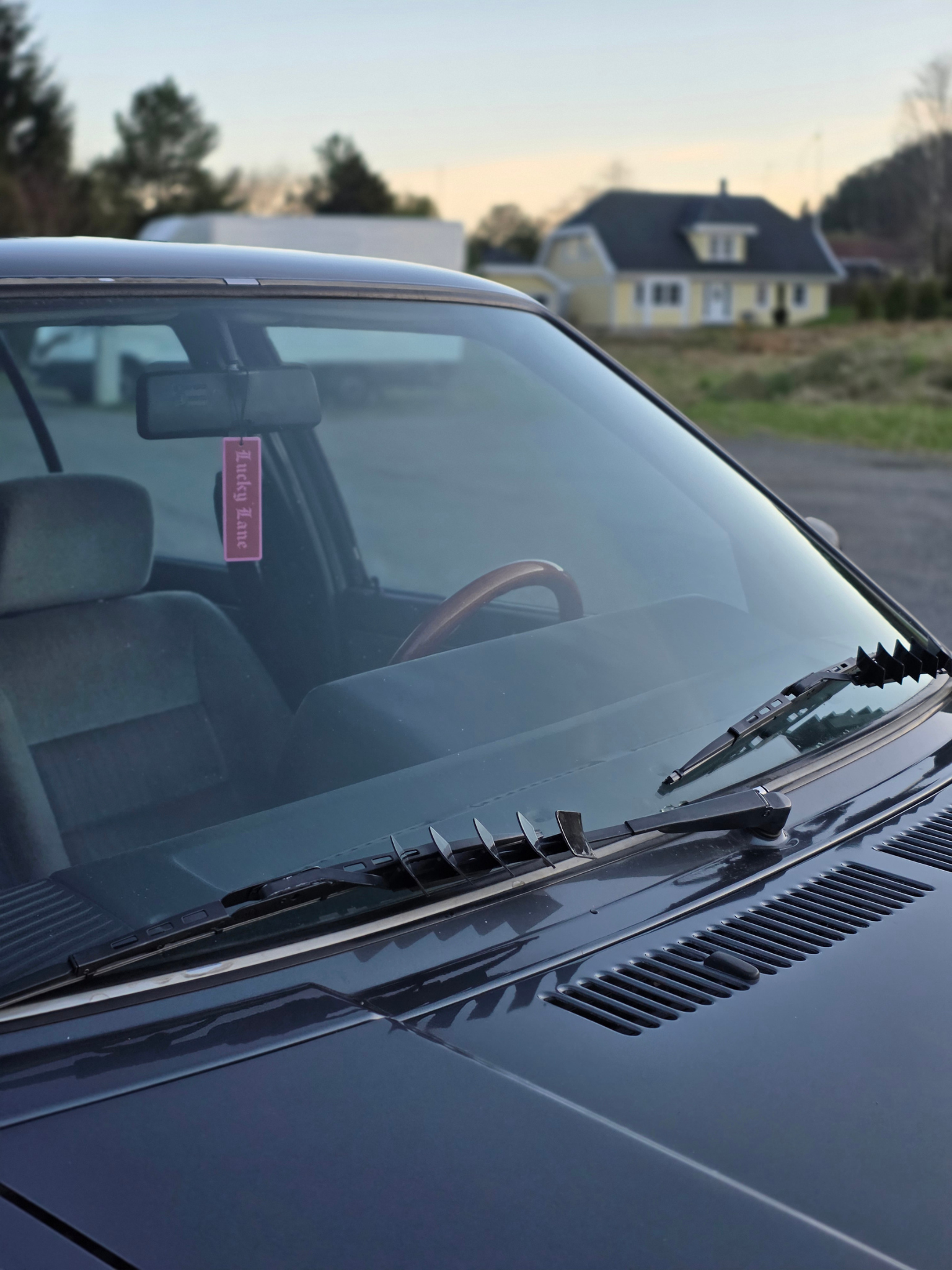 Air freshener - Strawberry